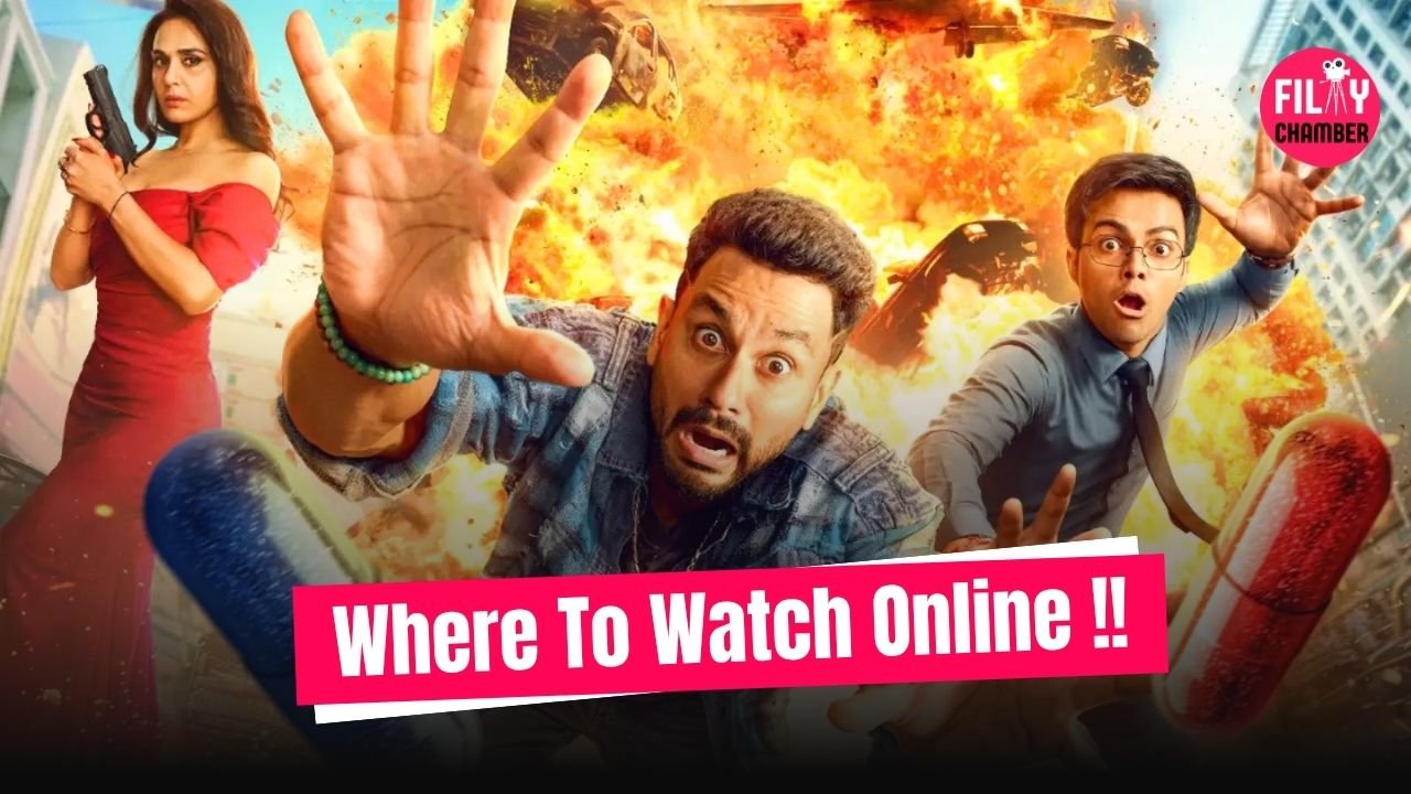 Kunal Khemu Vibe OTT Release